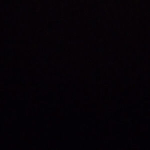 Meet your Posher, Luis